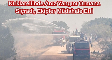 Kırklareli'nde Anız Yangını Ormana Sıçradı, Ekipler Müdahale Etti