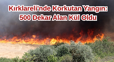 Kırklareli'nde Korkutan Yangın: 500 Dekar Alan Kül Oldu