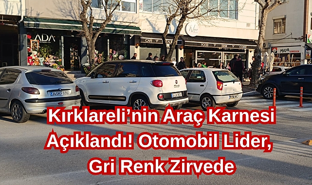 Kırklareli’nin Araç Karnesi Açıklandı! Otomobil Lider, Gri Renk Zirvede