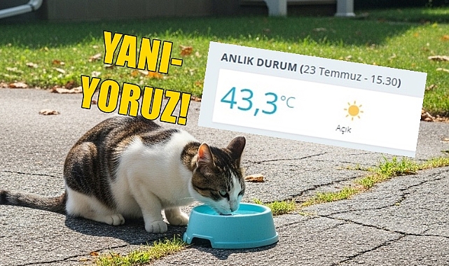 SON DAKİKA: Edirne'de Sıcaklık Rekoru Kırıldı!