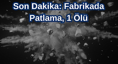Son Dakika: Fabrikada Patlama, 1 Ölü