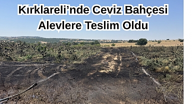 Son Dakika: Kırklareli’nde Ceviz Bahçesi Alevlere Teslim Oldu
