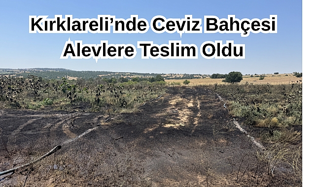 Son Dakika: Kırklareli’nde Ceviz Bahçesi Alevlere Teslim Oldu