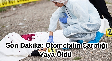 Son Dakika: Otomobilin Çarptığı Yaya Öldü