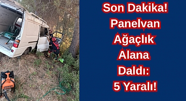 Son Dakika! Panelvan Ağaçlık Alana Daldı: 5 Yaralı!