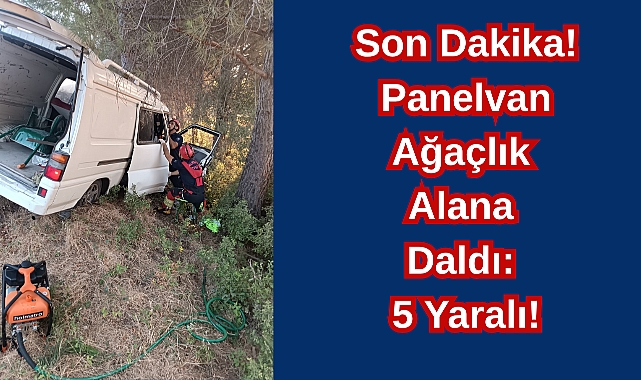 Son Dakika! Panelvan Ağaçlık Alana Daldı: 5 Yaralı!