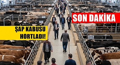 SON DAKİKA: Şap Kabusu Hortladı 'Acele' Koduyla Genelge Yayınlandı!