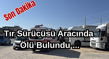 Son Dakika: Tır Sürücüsü Aracında Ölü Bulundu