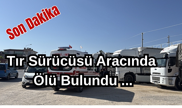 Son Dakika: Tır Sürücüsü Aracında Ölü Bulundu