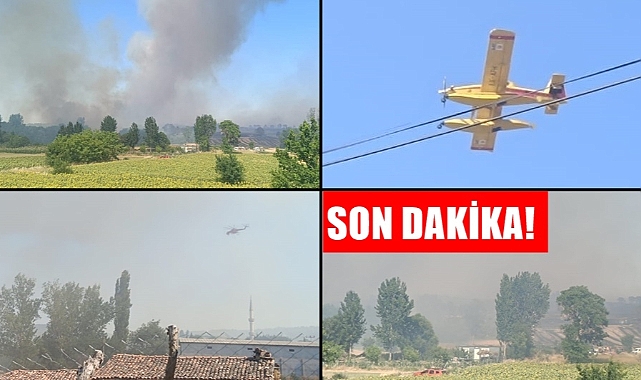 SON DAKİKA: Yine Orman Yangını; Müdahale Ediliyor!