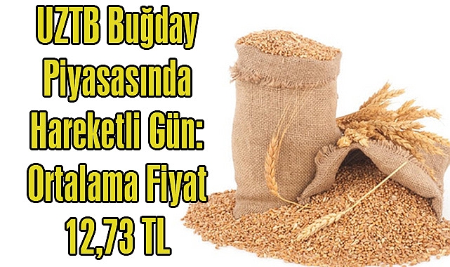 UZTB Buğday Piyasasında Hareketli Gün: Ortalama Fiyat 12,73 TL
