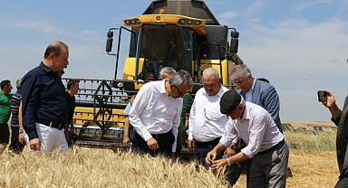 Vali Sezer Buğday Hasadına Katıldı