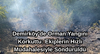 Demirköy'de Orman Yangını Korkuttu: Ekiplerin Hızlı Müdahalesiyle Söndürüldü