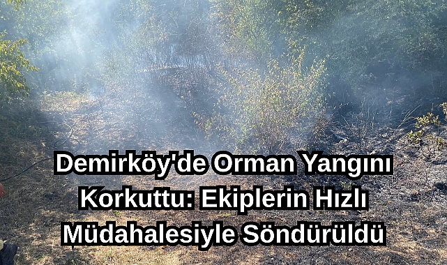 Demirköy'de Orman Yangını Korkuttu: Ekiplerin Hızlı Müdahalesiyle Söndürüldü