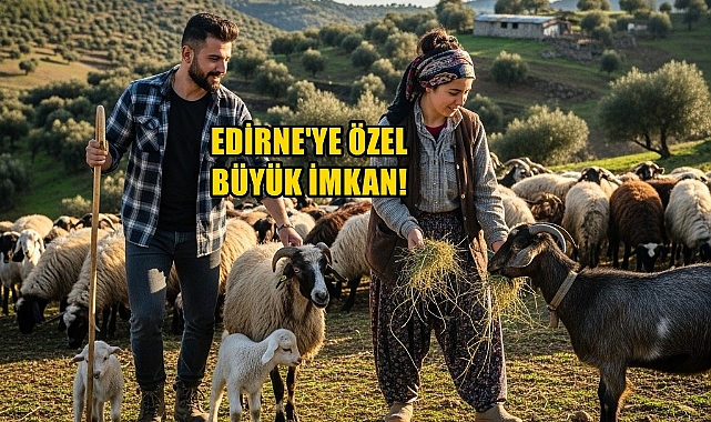 Edirne'de Kredi Oranları Yüzde 100 Yükseltildi: