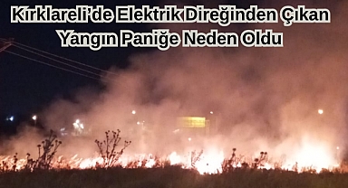 Kırklareli’de Elektrik Direğinden Çıkan Yangın Paniğe Neden Oldu