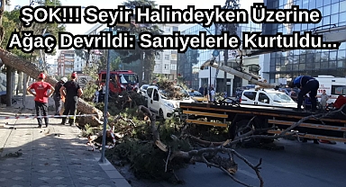 ŞOK!!! Seyir Halindeyken Üzerine Ağaç Devrildi: Saniyelerle Kurtuldu...