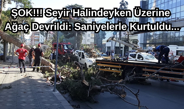 ŞOK!!! Seyir Halindeyken Üzerine Ağaç Devrildi: Saniyelerle Kurtuldu...
