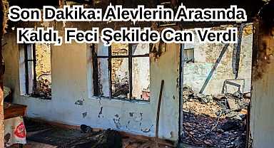 Son Dakika: Alevlerin Arasında Kaldı, Feci Şekilde Can Verdi