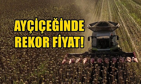 SON DAKİKA: Ayçiçeğinde Rekor Fiyat!