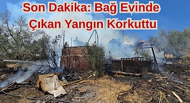 Son Dakika: Bağ Evinde Çıkan Yangın Korkuttu