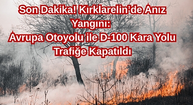 Son Dakika! Kırklarelin’de Anız Yangını: Avrupa Otoyolu ile D-100 kara Yolu Trafiğe Kapatıldı