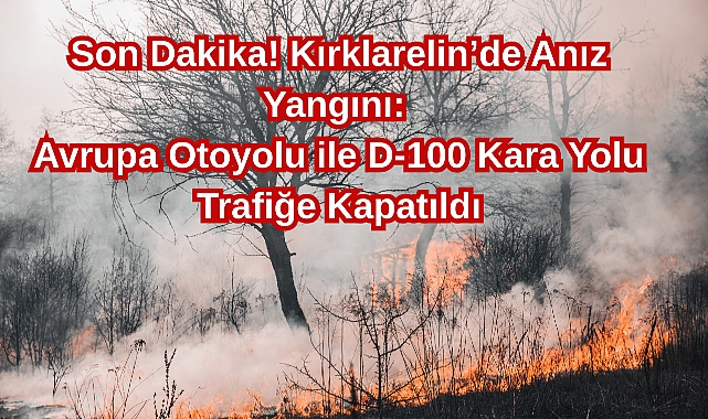 Son Dakika! Kırklarelin’de Anız Yangını: Avrupa Otoyolu ile D-100 kara Yolu Trafiğe Kapatıldı