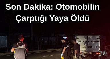 Son Dakika: Otomobilin Çarptığı Yaya Öldü