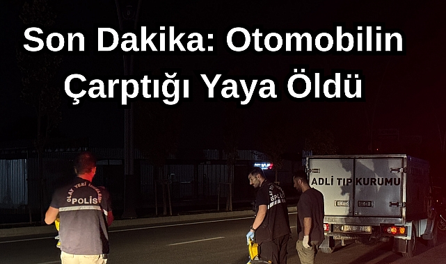 Son Dakika: Otomobilin Çarptığı Yaya Öldü