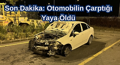 Son Dakika: Otomobilin Çarptığı Yaya Öldü