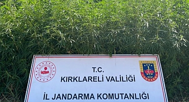 Zehir Tacirleri Jandarmadan Kaçamadı