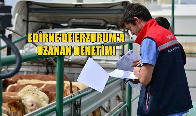 Edirne'den Erzurum'a Hayvan Hareketleri Kontrol Altında