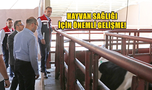 Hayvan Kontrol ve Dinlendirme İstasyonu Hizmete Giriyor!