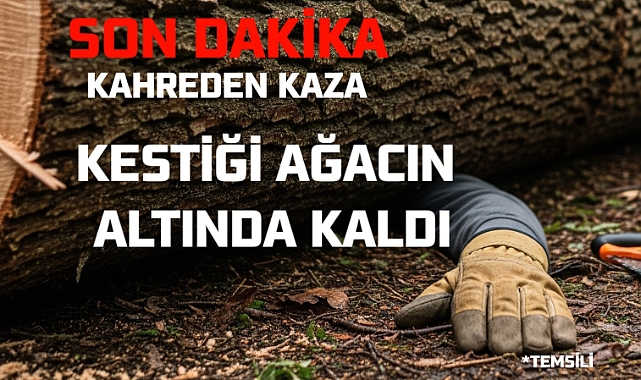 Kestiği Ağacın Altında Kalarak Hayatını Kaybetti
