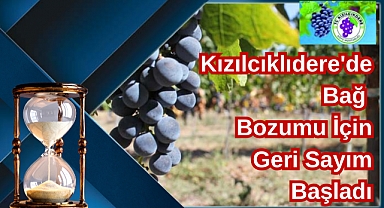 Kızılcıklıdere'de Bağ Bozumu İçin Geri Sayım Başladı