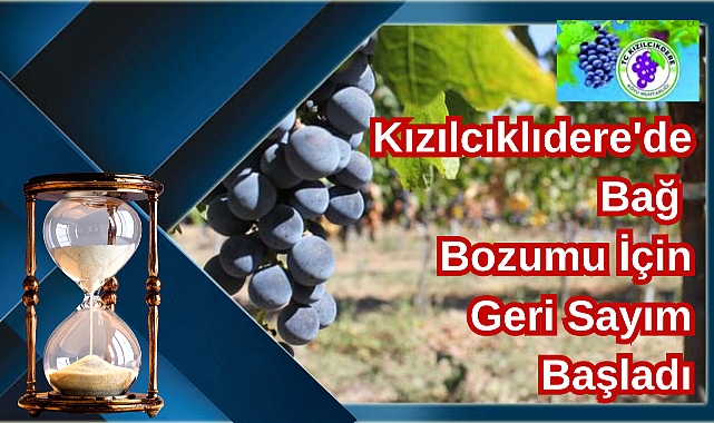 Kızılcıklıdere'de Bağ Bozumu İçin Geri Sayım Başladı