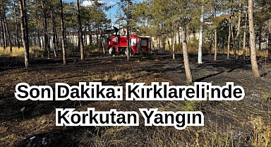 Son Dakika: Kırklareli'nde Korkutan Yangın