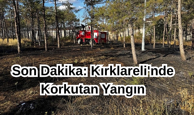 Son Dakika: Kırklareli'nde Korkutan Yangın