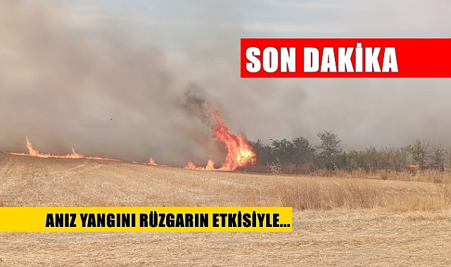 SON DAKİKA: Korkutan Yangın! Rüzgarın Etkisi İle...