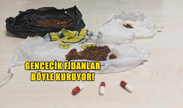 Uyuşturucu Parklara Kadar İndi: Ekipler 2 Şahsı Yakaladı!