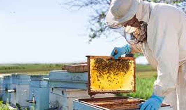 Kırklareli’nde Arıcılık Kursu Kayıtları Başladı