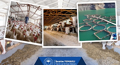 Kırsala 50 Milyon Euro Hibe Desteği Kapısı Açıldı