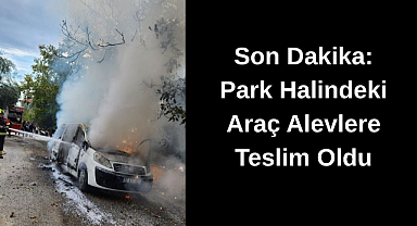 Son Dakika: Park Halindeki Araç Alevlere Teslim Oldu