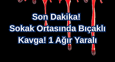 Son Dakika! Sokak Ortasında Bıçaklı Kavga! 1 Ağır Yaralı