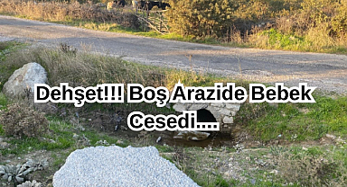 Dehşet!!! Boş Arazide Bebek Cesedi....