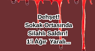 Dehşet! Sokak Ortasında Silahlı Saldırı! 1'i Ağır Yaralı...