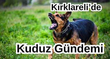 Kırklareli'nde Kuduz Gündemi