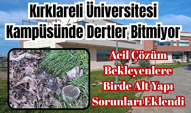Kırklareli Üniversitesi Kampüsünde Dertler Bitmiyor