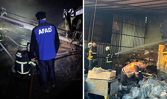 Son Dakika: Kırklareli'nde Pelet Deposunda Yangın