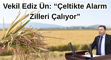 Vekil Ediz Ün:
